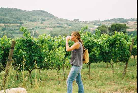Rutas del Vino de Espaa, un verano entre viedos