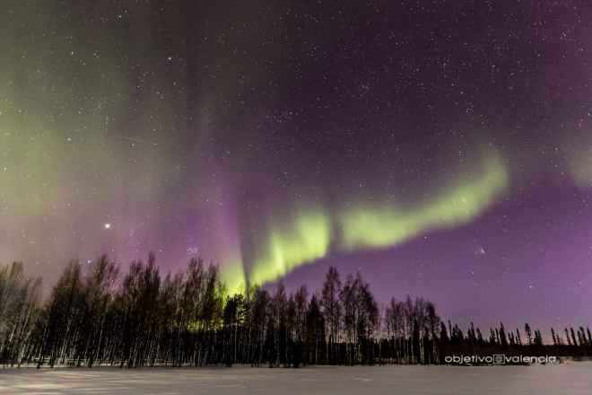 Viaje especial a la Laponia finlandesa, para observar las auroras boreales