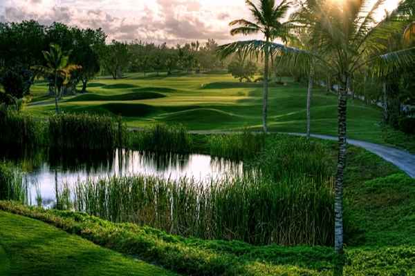 Golf en el corazón del Caribe, el Barceló Bavaro Beach Resort