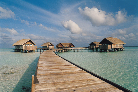 Cocoa Island - Maldivas - Resort de lujo de 5 estrellas  y Spa. Puente entre cabañas