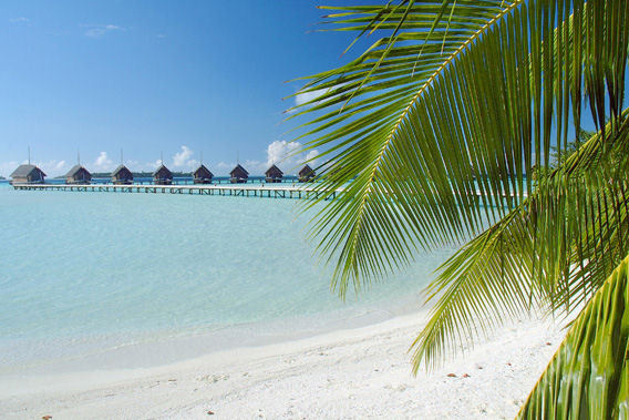 Cocoa Island - Maldivas - Resort de lujo de 5 estrellas  y Spa. Lujo en las Maldivas