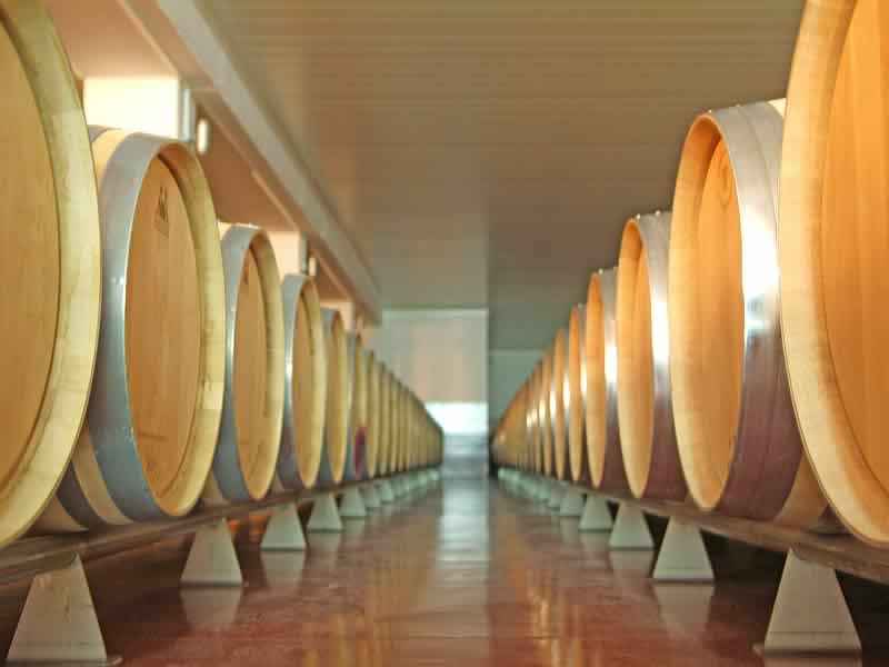 Costaval, vinos tintos de la Ribera del Duero