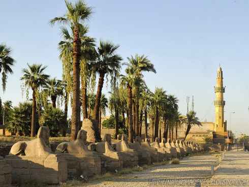 Guía de Destinos : Egipto la tierra de los faraones