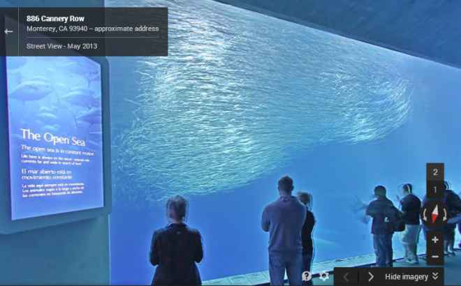 Google Street View, una visita virtual al Monterey Bay Aquarium