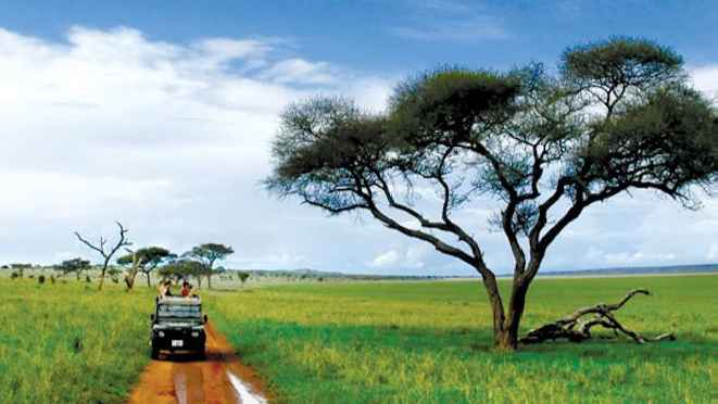 Great Safaris lanza su paquete especial familias en Tanzania