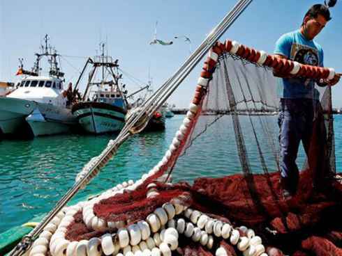 La Autoridad Portuaria de la Bahía de Cádiz ha sacado a licitación el proyecto de informatización de la Lonja de Cádiz