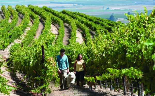 Monterey nombrado Top10 Wine Travel Destination del Mundo