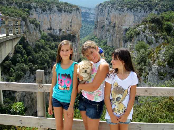 Navarra apuesta por el turismo con mascotas