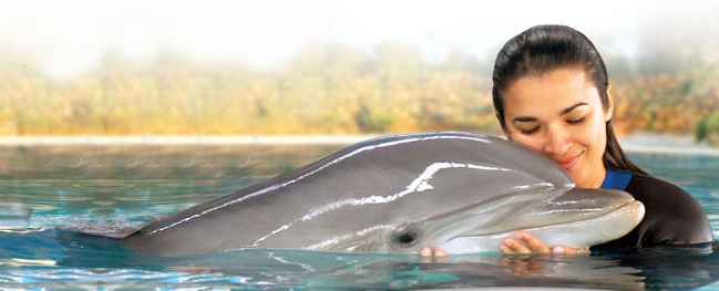 El portal Originalia propone la escapada nadar con delfines