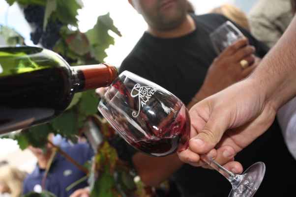 Rioja Alavesa muestra sus vinos en Ardoaraba y La Txuleta