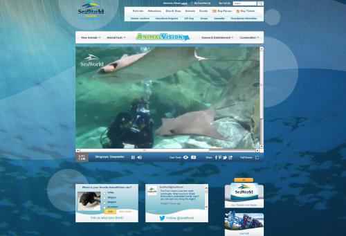 SeaWorld Parks & Entertainment lanza “AnimalVision”