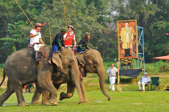 Tailandia: La Copa del Rey de Polo en Elefante en Bangkok 