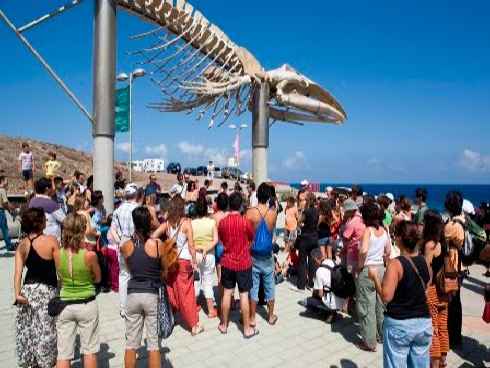 Tenerife con el turismo sostenible  - Boreal, el ‘ecofestival’ que funde medio ambiente, música y arte