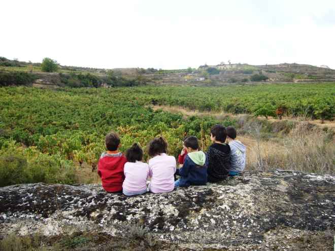 Thabuca y la experiencia de la vendimia en famila en Rioja Alavesa