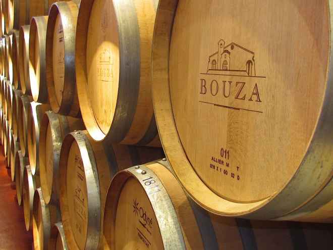 Uruguay y su uva Tannat entra con fuerza en el mundo vinícola