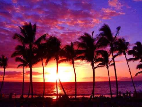 Vacaciones familiares en Hawai: Guía de Viajes