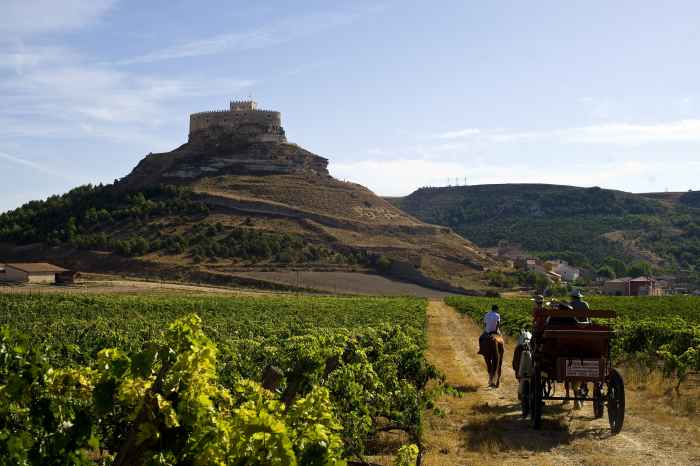 La Ruta del Vino Ribera del Duero, es algo más que solo vino